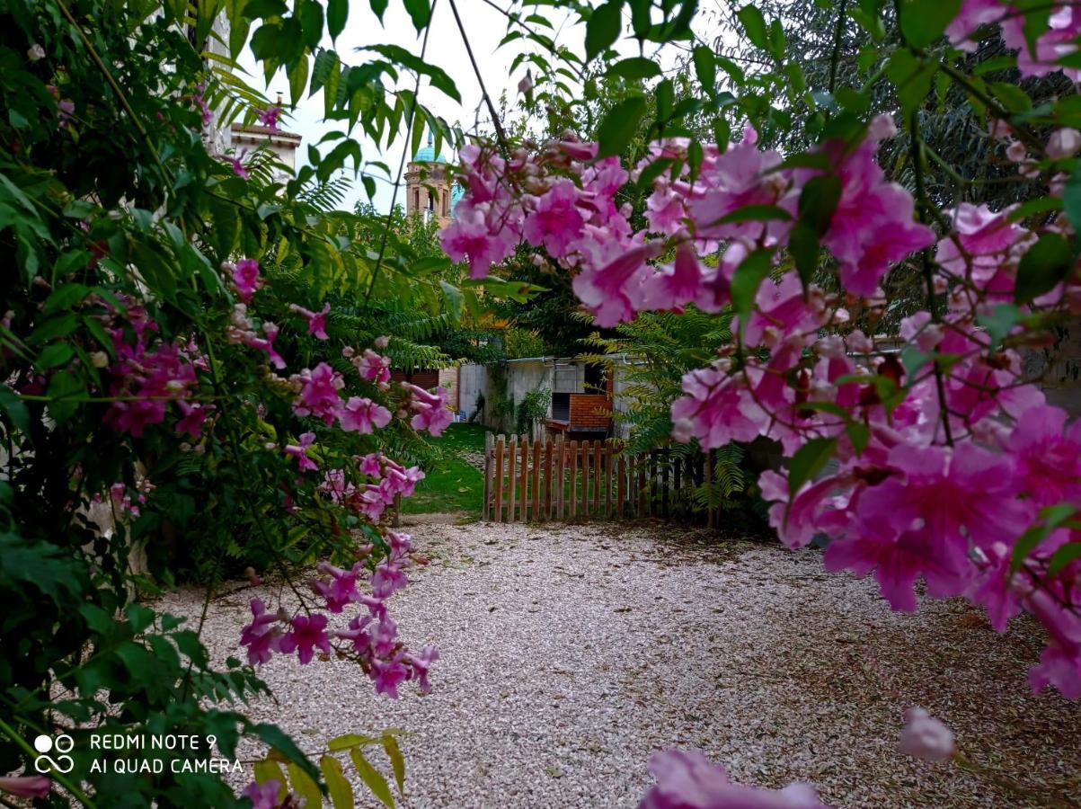 Отель Casa Rural Alicia Villafranca de Ebro Экстерьер фото