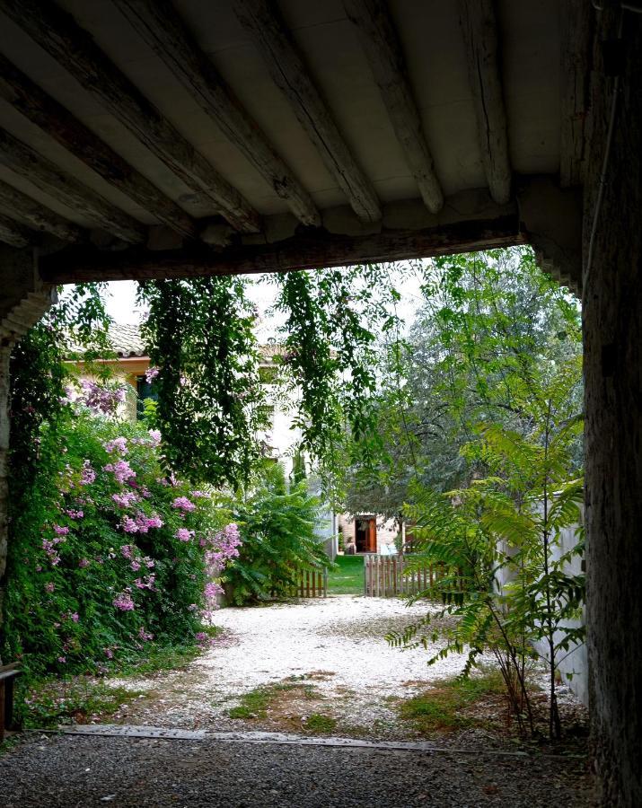 Отель Casa Rural Alicia Villafranca de Ebro Экстерьер фото