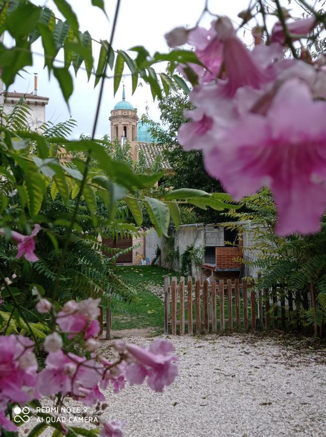 Отель Casa Rural Alicia Villafranca de Ebro Экстерьер фото