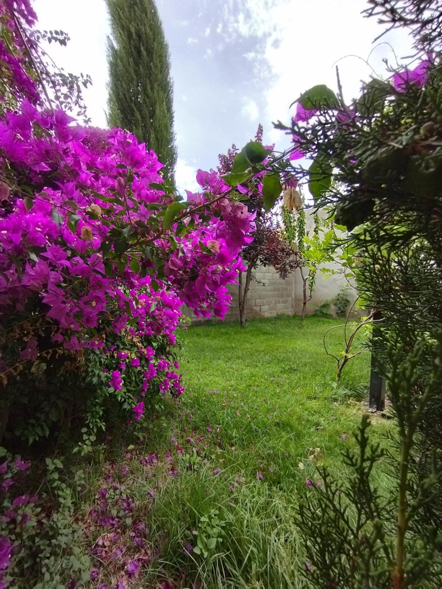 Отель Casa Rural Alicia Villafranca de Ebro Экстерьер фото